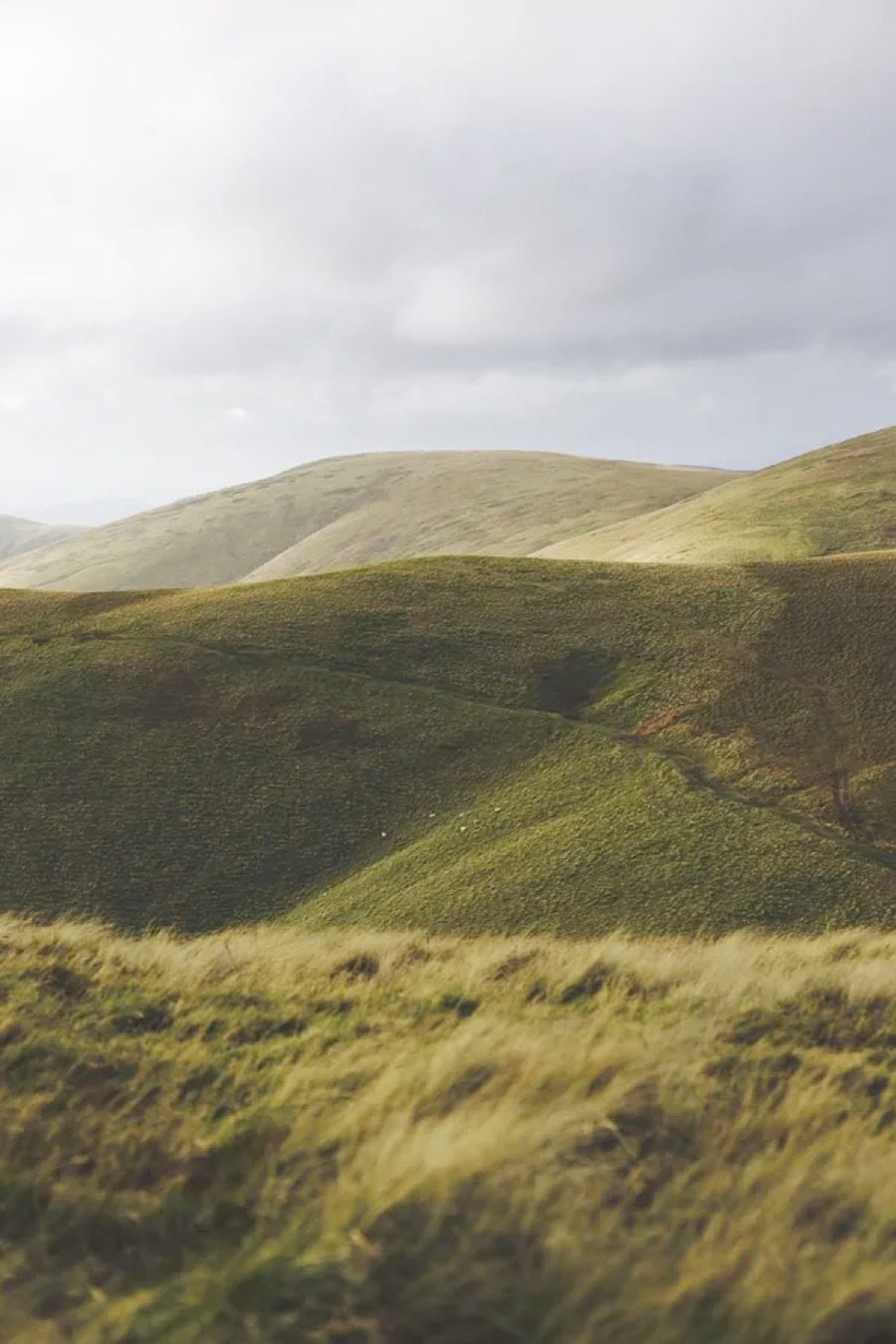 Cranio betschart header 2